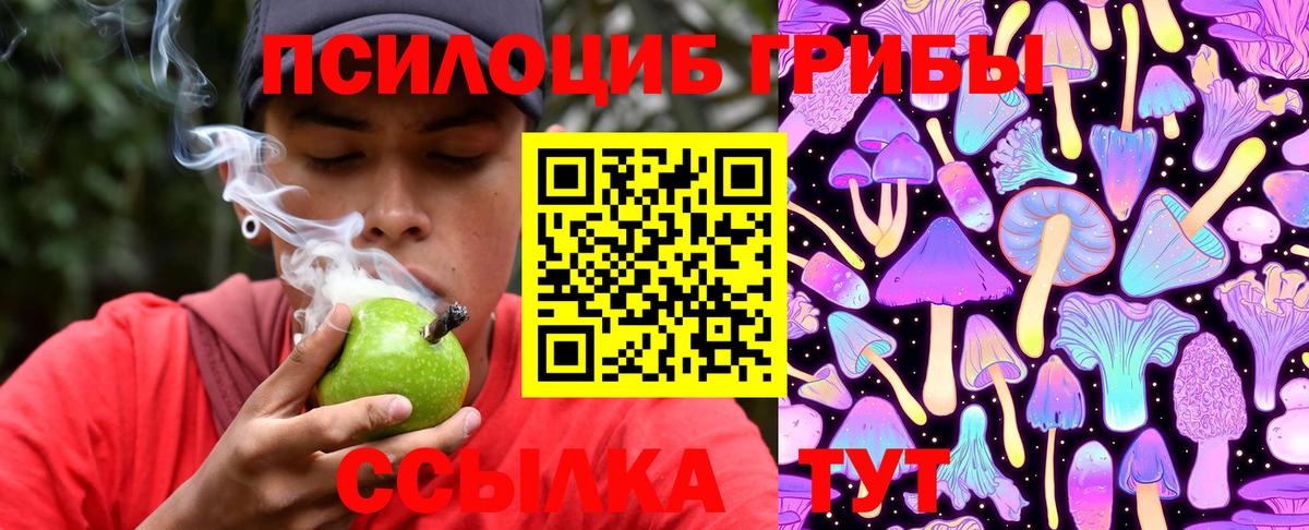 Псилоцибиновые грибы MAGIC MUSHROOMS Александров