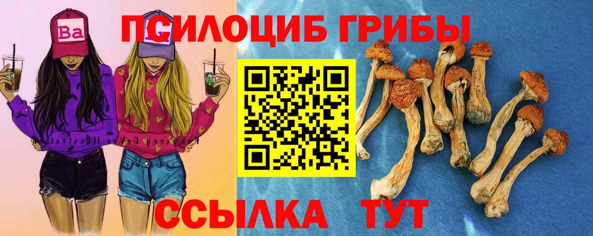 Галлюциногенные грибы Magic Shrooms  Вход с VPN  Псилоцибиновые грибы Magic Shrooms  Александров 